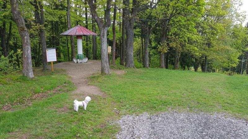 Ubytovani V Soukromi - Apartman Meran Svoboda nad Úpou Exterior foto