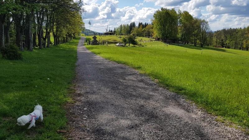 Ubytovani V Soukromi - Apartman Meran Svoboda nad Úpou Exterior foto