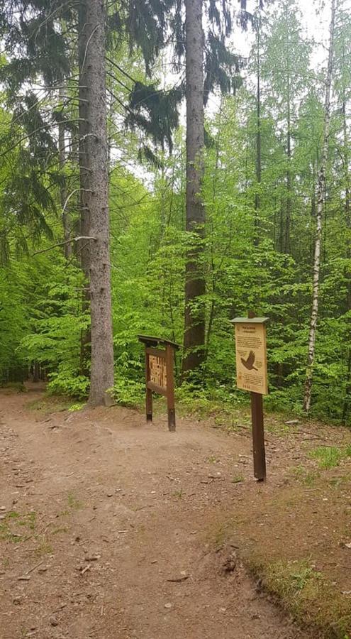 Ubytovani V Soukromi - Apartman Meran Svoboda nad Úpou Exterior foto